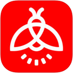 圖片報	：勒沃庫森有意布萊頓中場博納諾特 林德洛夫不在考慮範圍